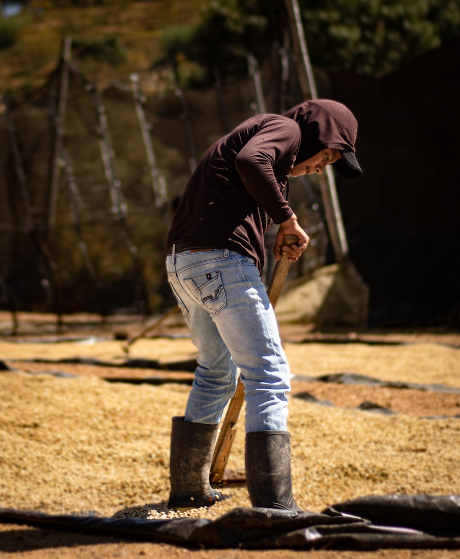 Coffee beans drying in the sun on a secadero in Huila, Colombia
